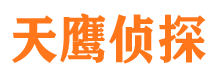 湖滨市私家侦探